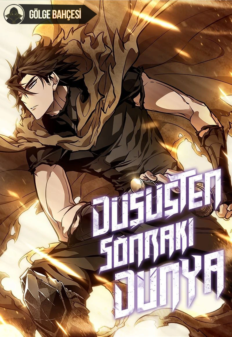 Düşüşten Sonraki Dünya