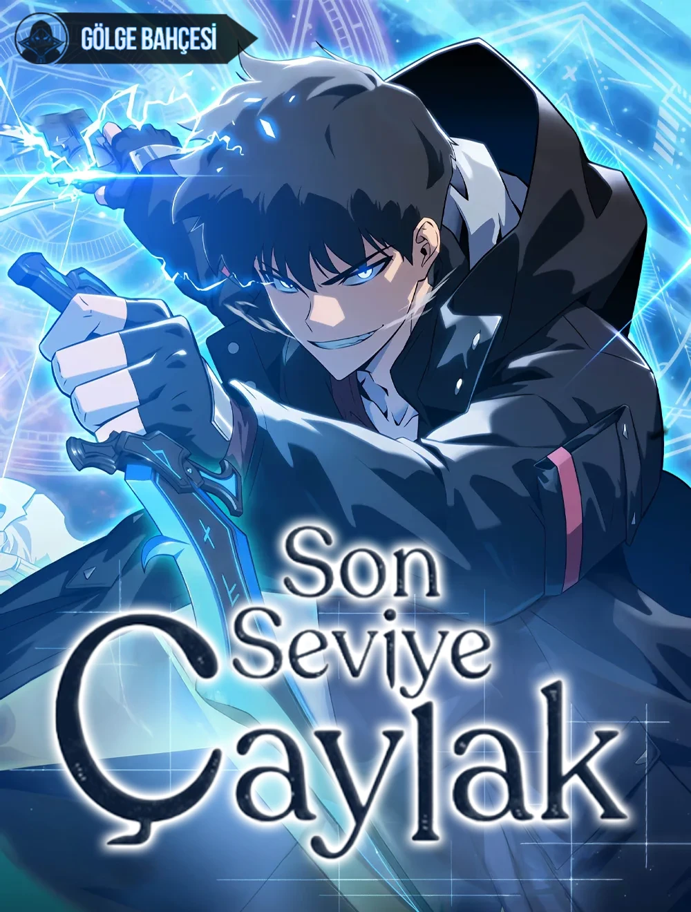Son Seviye Çaylak